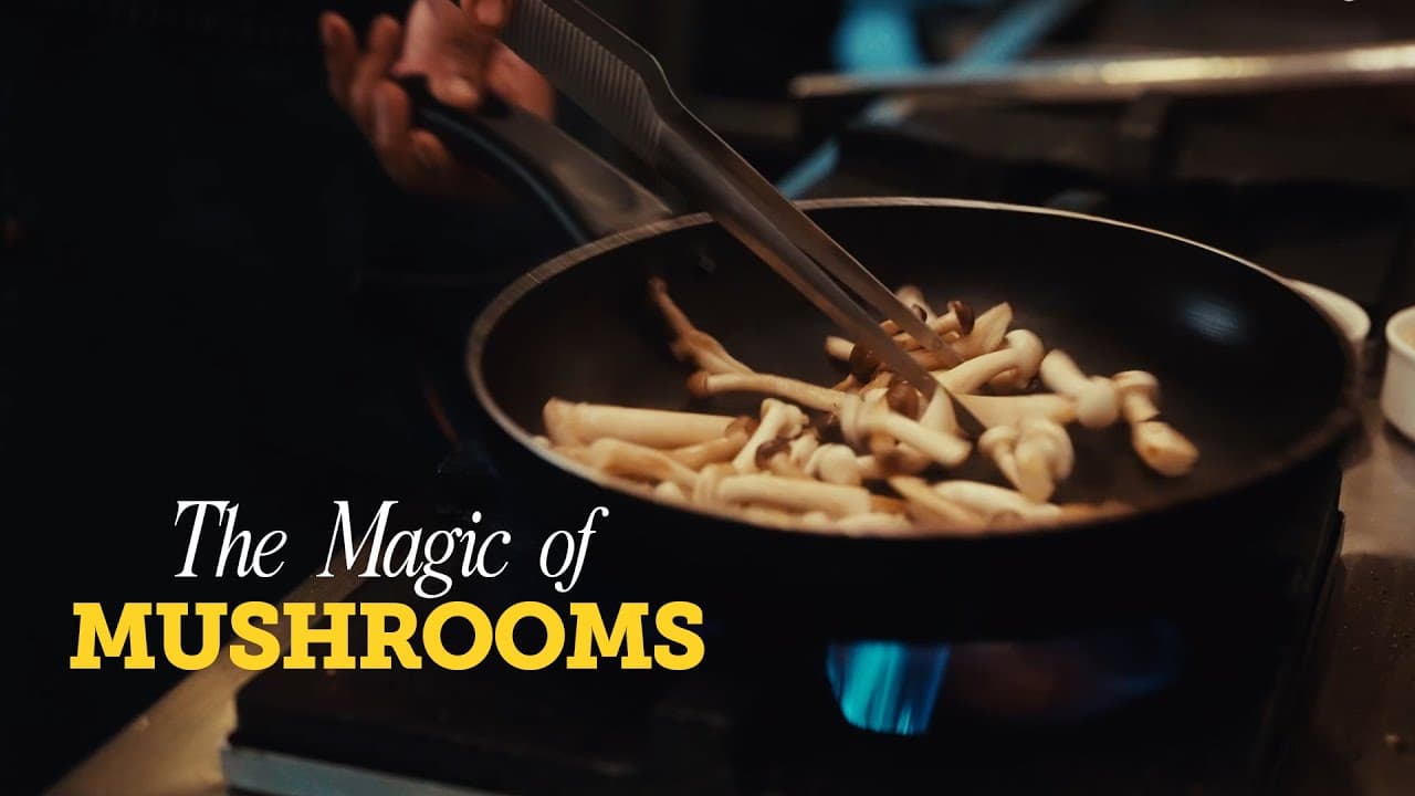 Kitchens of Origin
